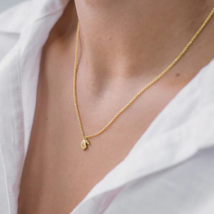 Jolie & Deen Womens SEASHELL NECKLACE GOLD - Image 4