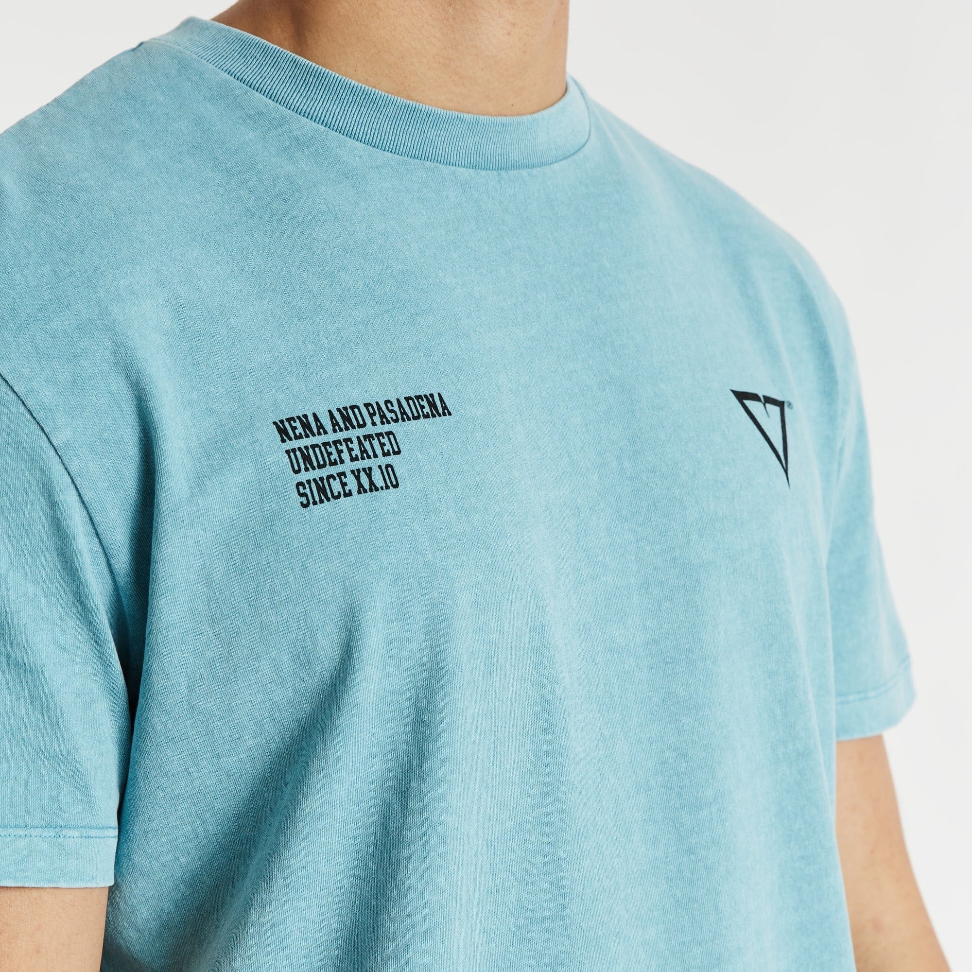 NENA & PASADENA Mens Mansion Relaxed Tee Shirt Pigment Cameo - Image 3