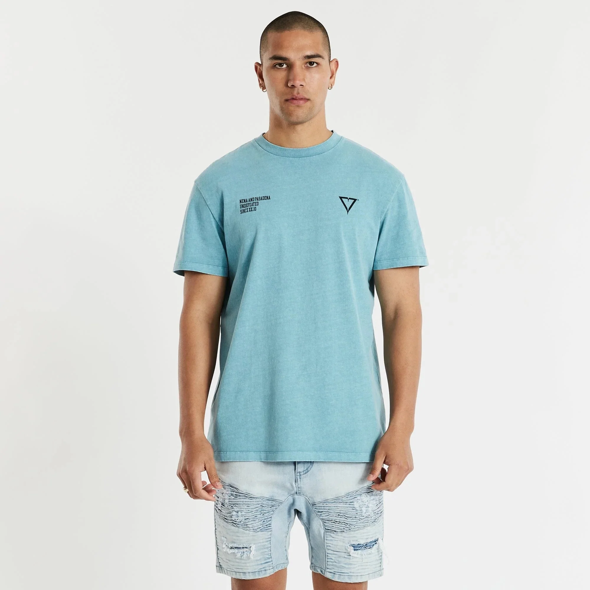 NENA & PASADENA Mens Mansion Relaxed Tee Shirt Pigment Cameo - Image 7