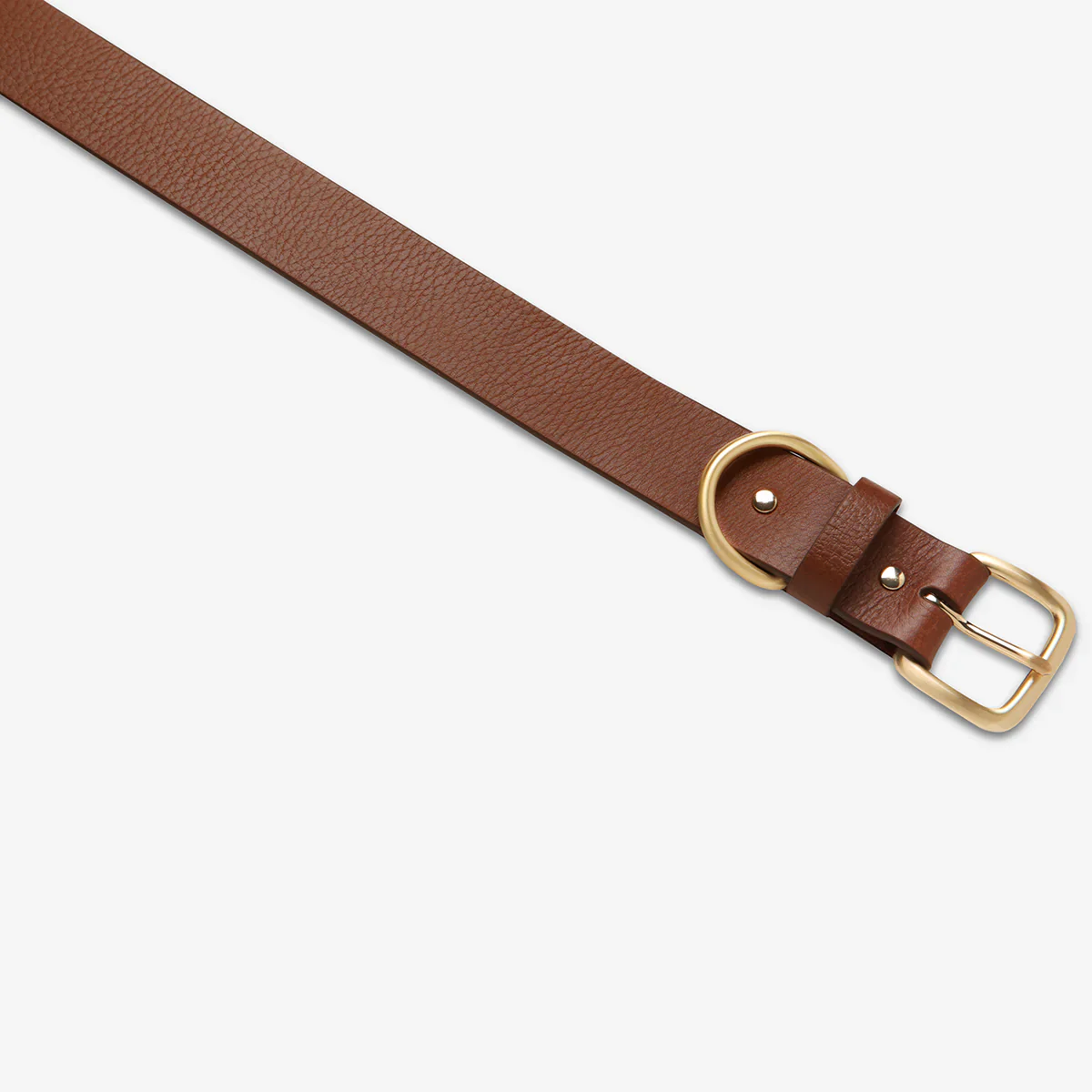 STATUS ANXIETY Womens Disarm Leather Belt - Tan w Gold Buckle - Image 3