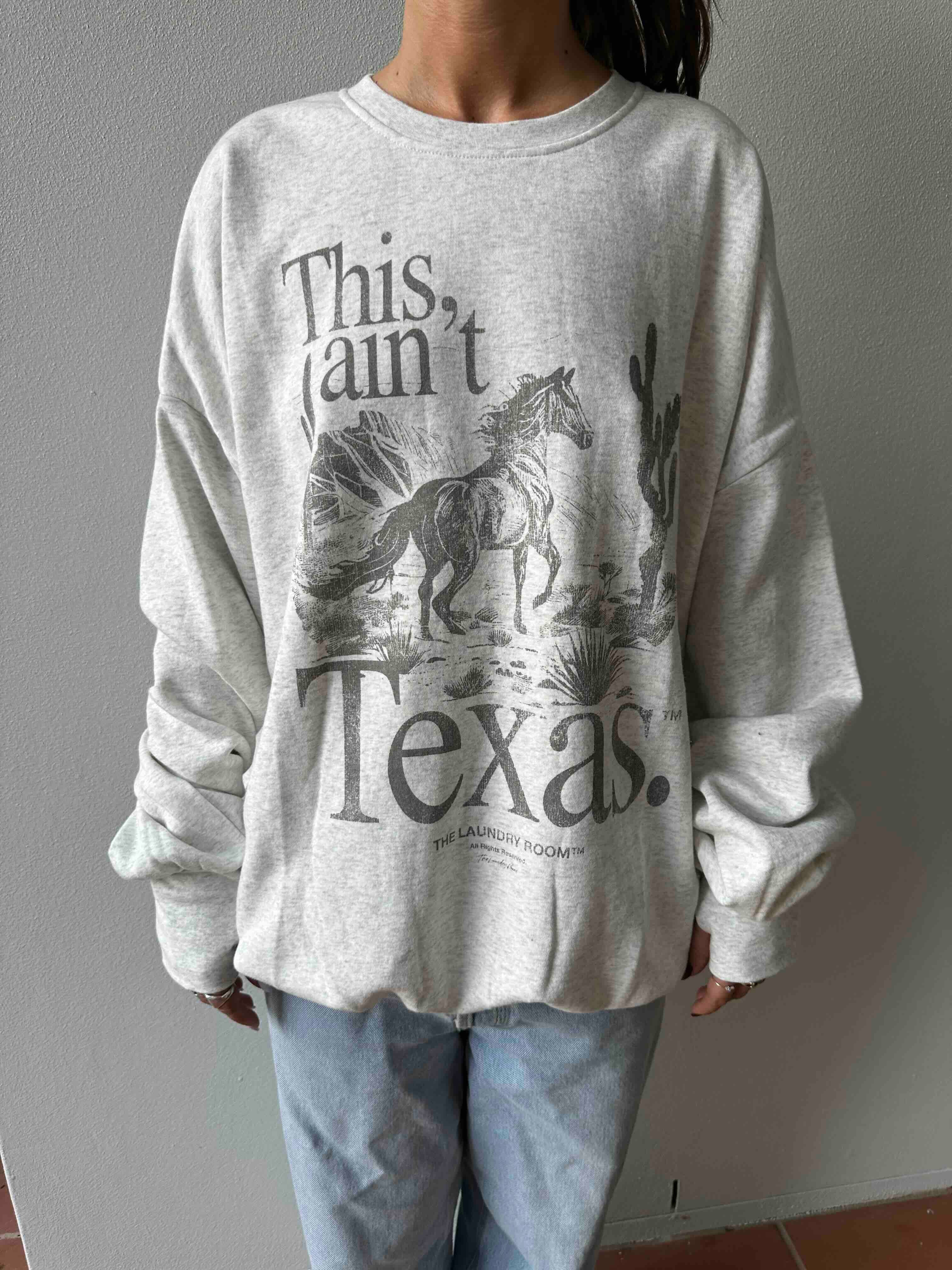 THE LAUNDRY ROOM Womens This Ain't Texas Stallion Jumper - Pebble Heather - Image 5