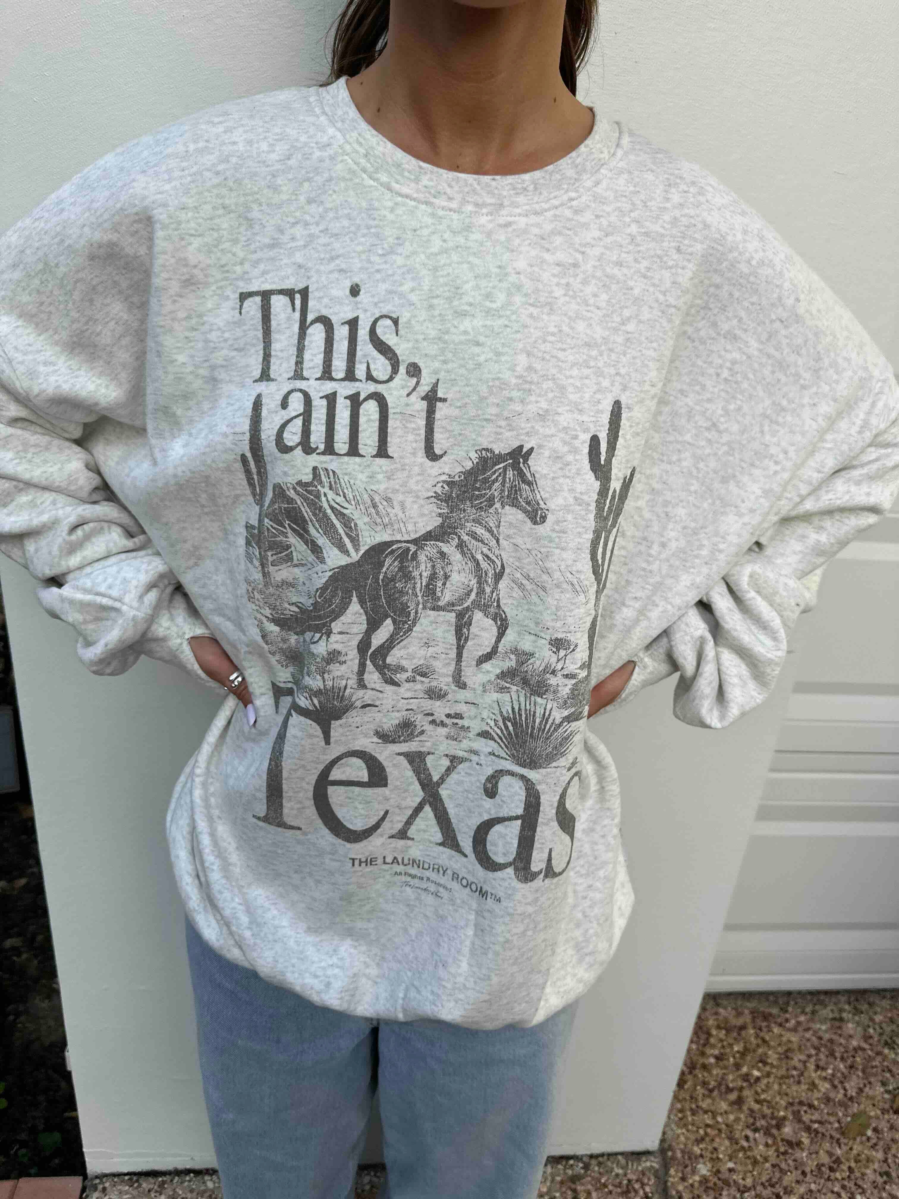 THE LAUNDRY ROOM Womens This Ain't Texas Stallion Jumper - Pebble Heather - Image 7
