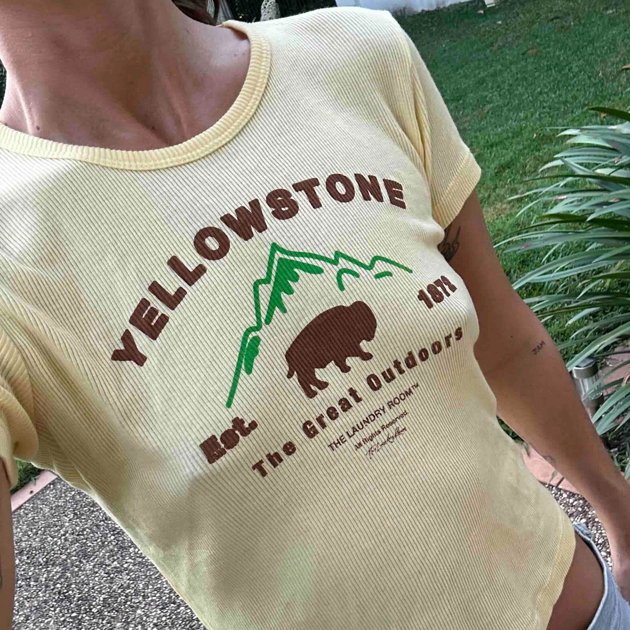 THE LAUNDRY ROOM Womens Yellowstone Bison Baby Tee - Old Gold - Image 3