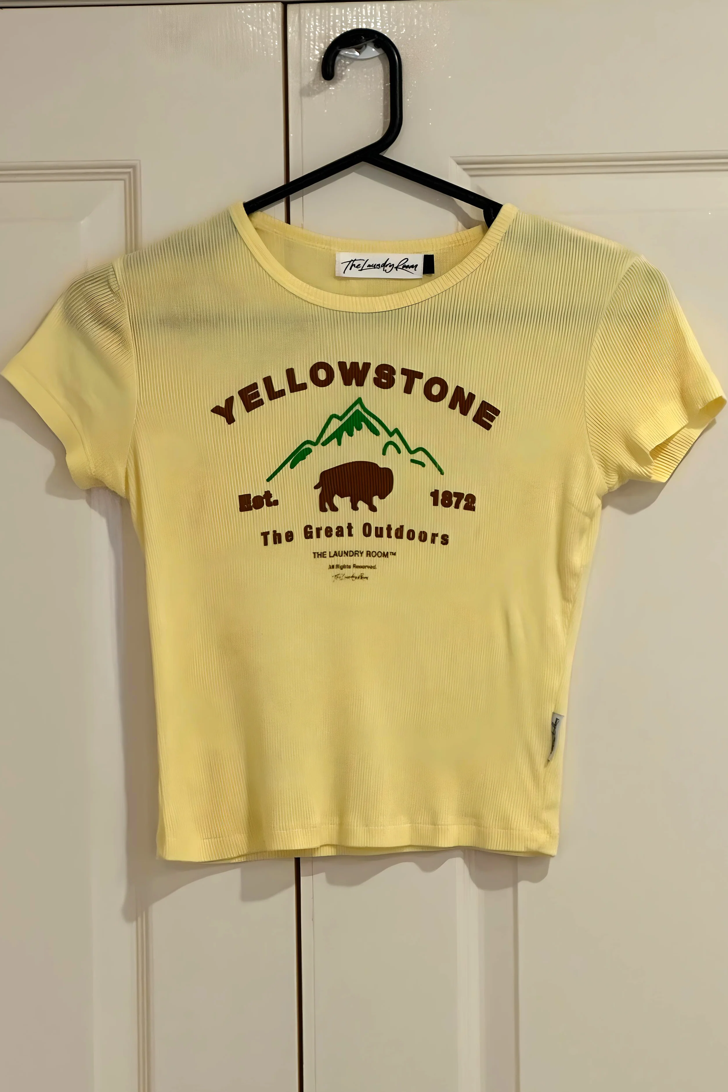 THE LAUNDRY ROOM Womens Yellowstone Bison Baby Tee - Old Gold - Image 5