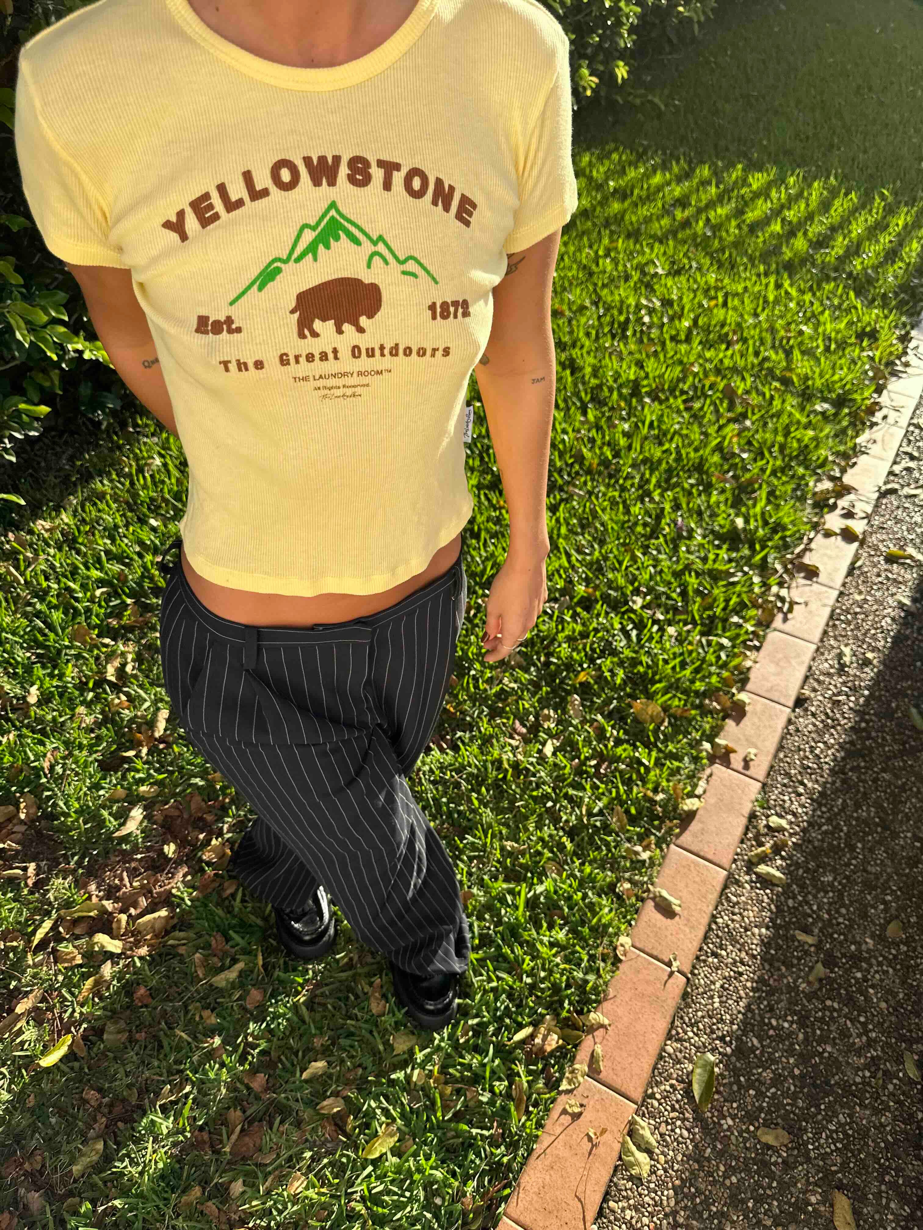 THE LAUNDRY ROOM Womens Yellowstone Bison Baby Tee - Old Gold - Image 6