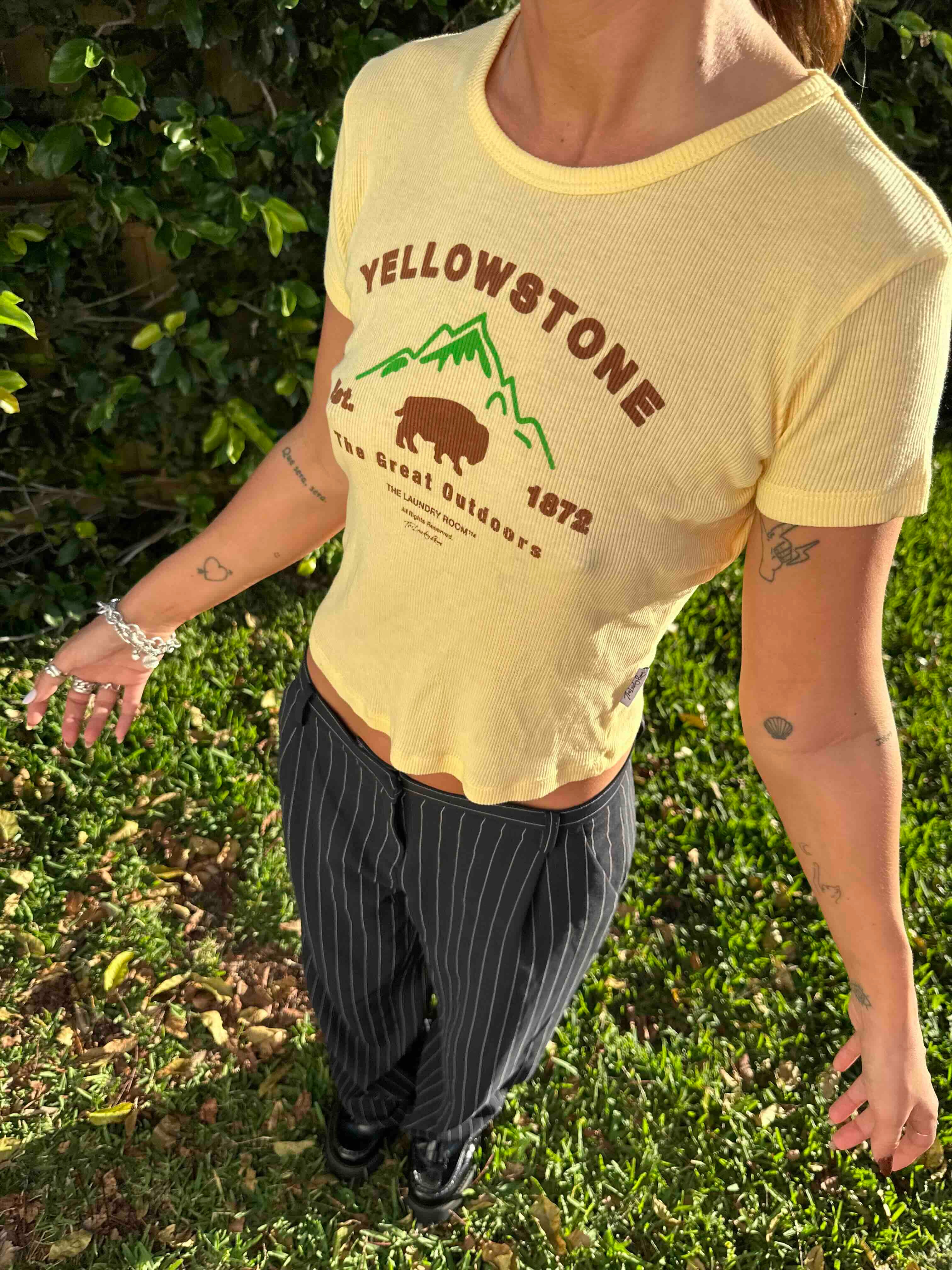 THE LAUNDRY ROOM Womens Yellowstone Bison Baby Tee - Old Gold - Image 7